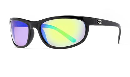 Picture of Calcutta Rock Pile Sunglasses
