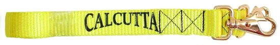 Picture of Calcutta Rod And Trolling Safety Lines