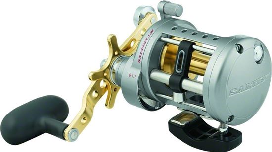 Picture of Daiwa Saltist Levelwind Reels