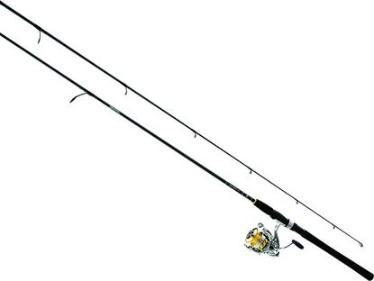 Picture of Daiwa Revros Pre-Mounted Spinning Combo