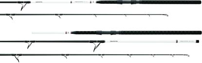 Picture of Daiwa Team Daiwa Surf Rod