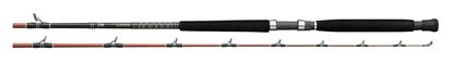 Picture of Daiwa VIPA196 VIP Saltwater Rods