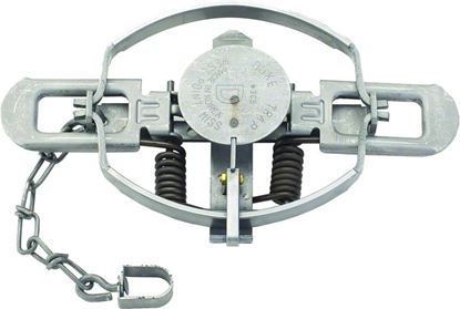 Picture of Coil Spring Traps