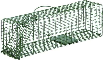 Picture of Standard & Heavy Duty Duke Cage Traps