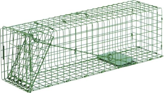 Picture of Standard & Heavy Duty Duke Cage Traps