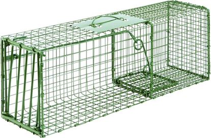 Picture of Standard & Heavy Duty Duke Cage Traps