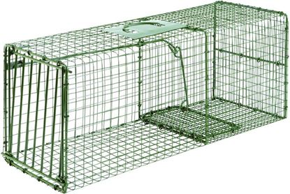 Picture of Standard & Heavy Duty Duke Cage Traps