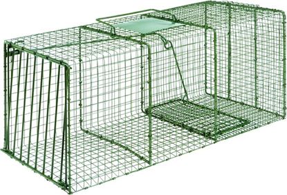 Picture of Standard & Heavy Duty Duke Cage Traps