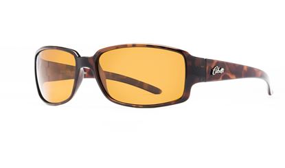 Picture of Calcutta Savannah Sunglasses