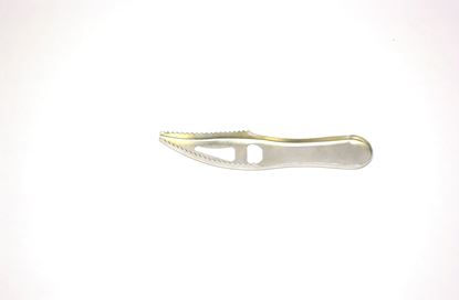 Picture of Fish Scaler