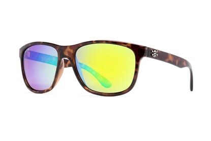 Picture of Calcutta Carolina Sunglasses