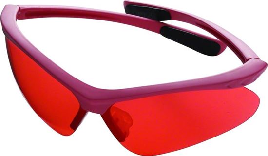 Picture of Champion Ladies Safety Glasses/Ear Muffs