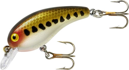 Picture of Cordell Big O® Square Lip Crankbait