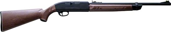 Picture of Crosman 2100 Classic