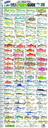 Picture of AFN Florida USA Fish Guide Ruler