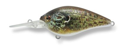 Picture of Baker Suspending Crankbait Rgd Series