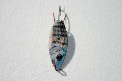 Picture of Livebait Willow Spoon