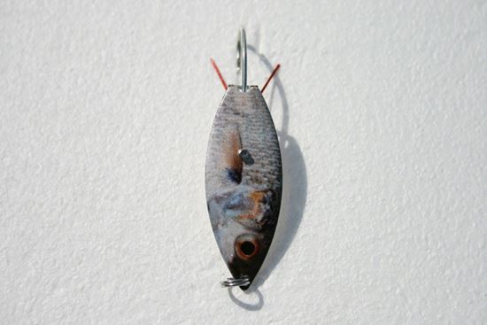 Picture of Livebait Willow Spoon