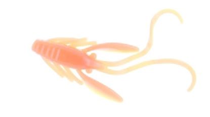 Picture of Berkley Powerbait® Power Nymph
