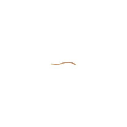 Picture of Berkley Powerbait® Power Floating Trout Worm