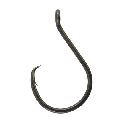 Picture of Berkley Fusion19 Circle Hook