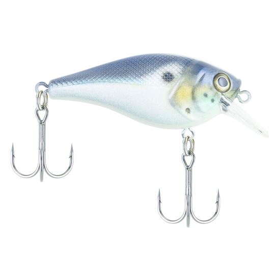 Picture of Bagley SquareBull Crankbait