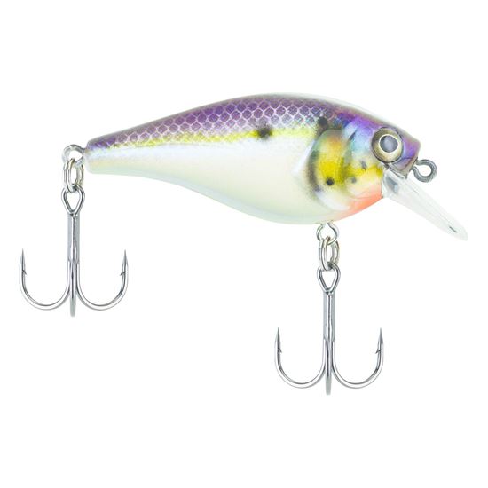 Picture of Bagley SquareBull Crankbait