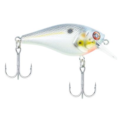 Picture of Bagley SquareBull Crankbait