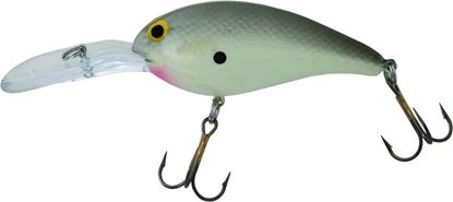 Picture of Bill Norman Deep Little-N Crankbait