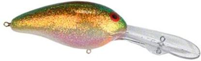 Picture of Bill Norman Deep Little-N Crankbait