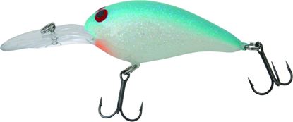 Picture of Bill Norman Deep Little-N Crankbait