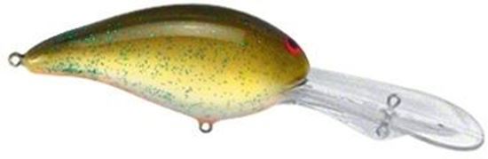 Picture of Bill Norman Deep Little-N Crankbait