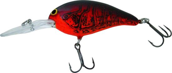 Picture of Bill Norman Deep Little-N Crankbait