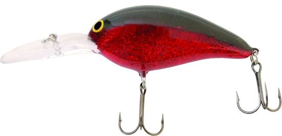 Picture of Bill Norman Deep Little-N Crankbait