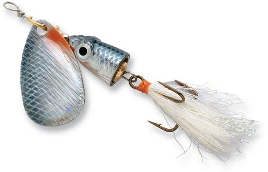 Picture of Blue Fox Vibrax Shallow Spinner