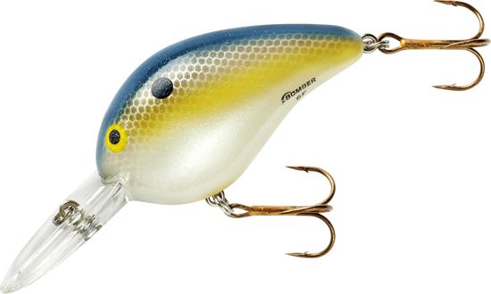 Picture of Bomber B06FFS Fat A Crankbait,2