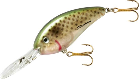 Picture of Bomber BD5FPSH Fat Free Shad