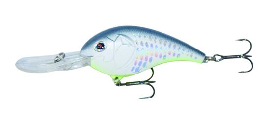 Picture of Boyd Duckett Squarebill Crankbait