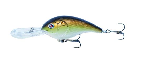 Picture of Boyd Duckett Squarebill Crankbait