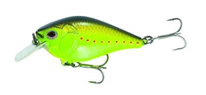 Picture of Boyd Duckett Squarebill Crankbait