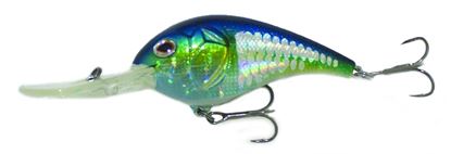 Picture of Boyd Duckett Squarebill Crankbait