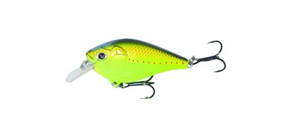 Picture of Boyd Duckett Squarebill Crankbait