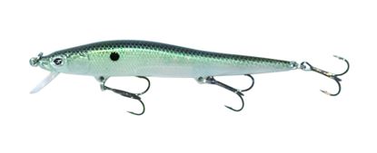 Picture of Boyd Duckett Jerkbait