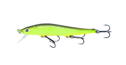 Picture of Boyd Duckett Jerkbait