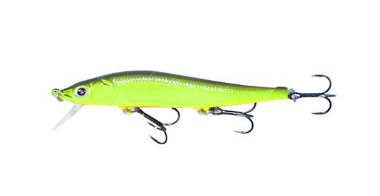 Picture of Boyd Duckett Jerkbait