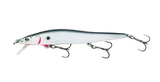 Picture of Boyd Duckett Jerkbait