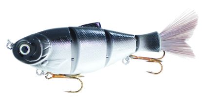 Picture of Boyd Duckett Shad Swimbait