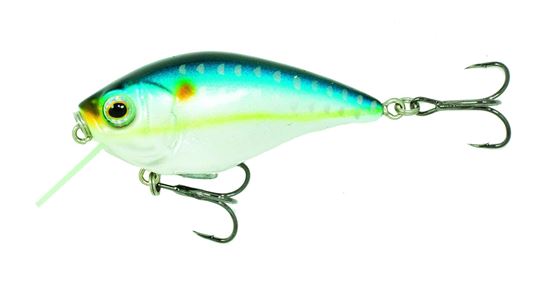 Picture of Boyd Duckett Soft Squarebill Crankbait