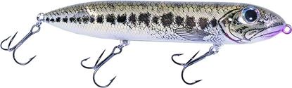 Picture of Heddon Super Spook®