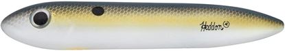 Picture of Heddon Super Spook®